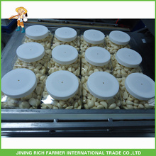 China Cheap Storing Peeled Garlic/Cracked Garlic For Wholesale